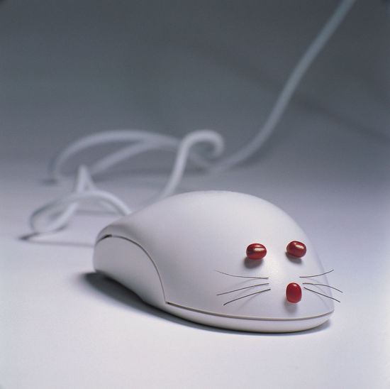 Close-up of mouse on table