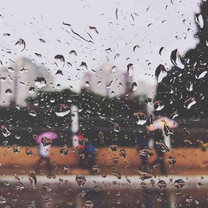 CLOSE-UP OF WATER DROPS ON THE BACKGROUND