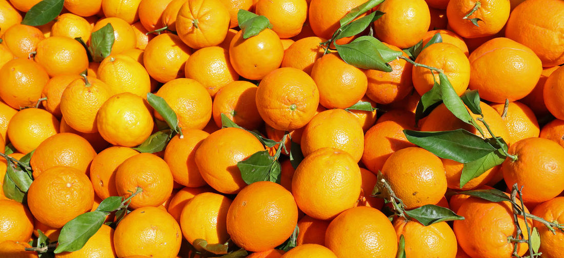 Background of many ripe oranges with leaves for sale