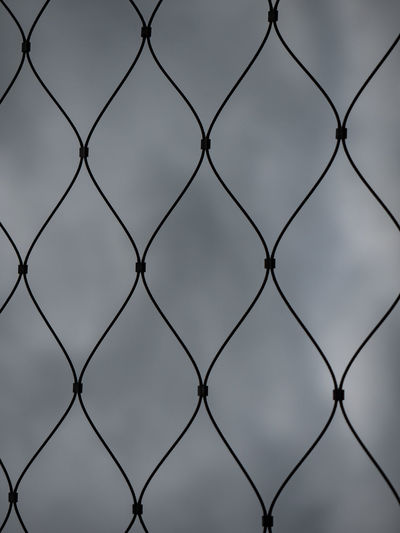 Iron wire fence. web. riveted twirl steel wire fence in rainy weather