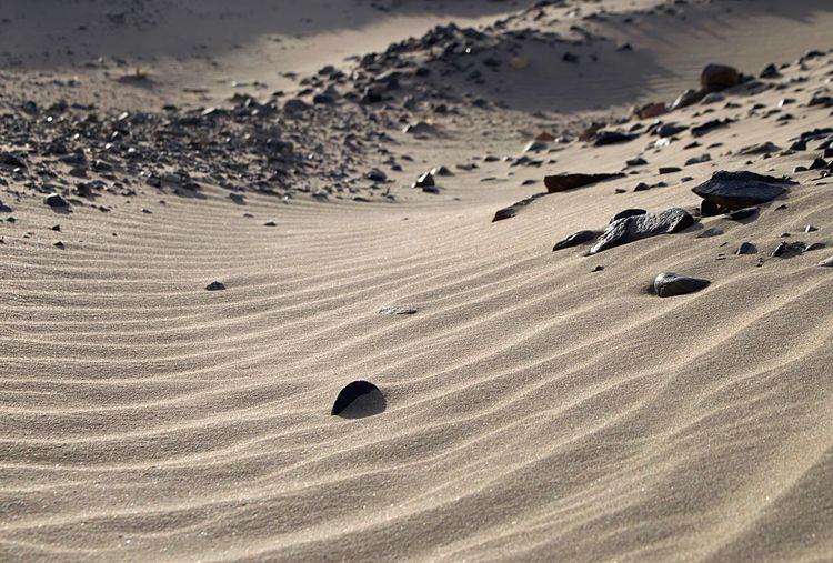 Scenic view of sand dune