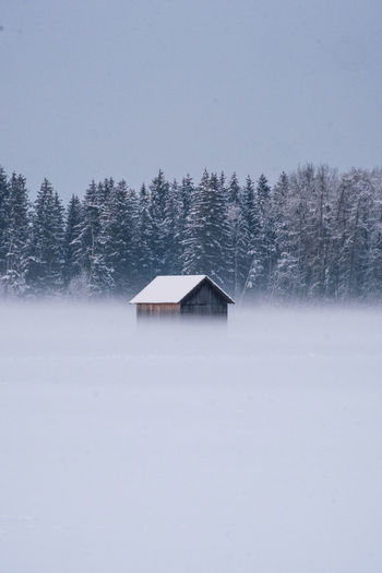Barn in winterly fog against a forest in the background.