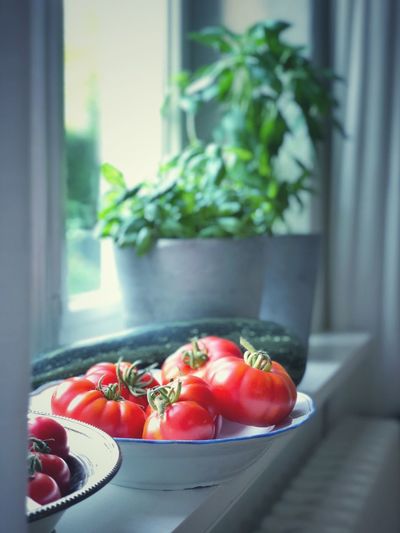 Close-up of tomatoes in bowl at home