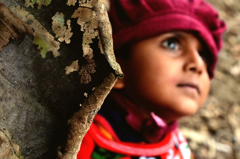 Close-up portrait of boy in tree trunk