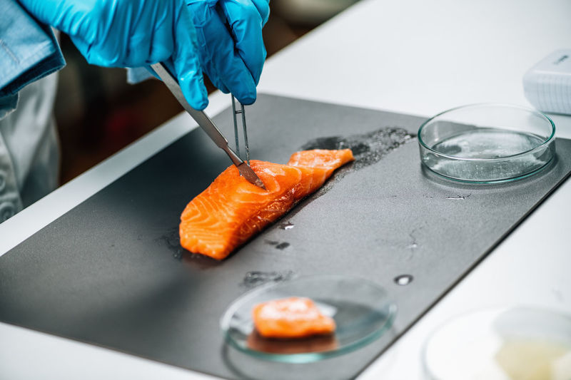 Food quality control of sea fish. quality control inspector analyzing salmon in a laboratory.