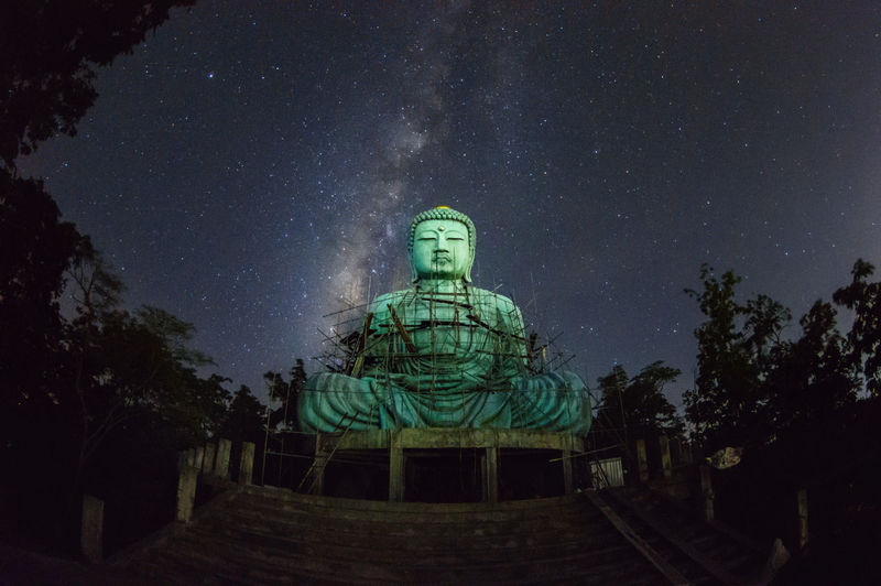 Low angle view of statue against trees at night