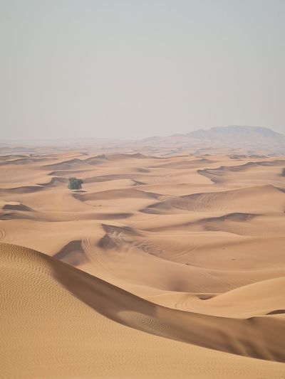 Desert View