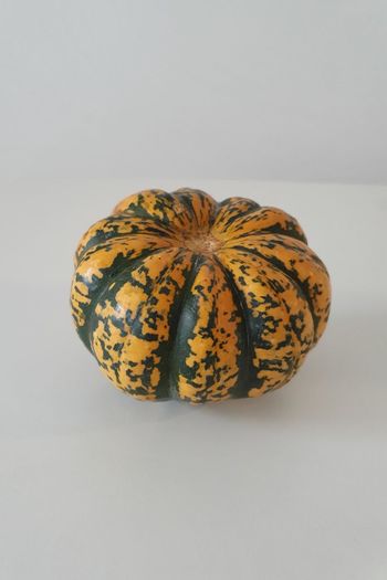High angle view of pumpkin against white background