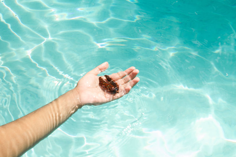 Cropped hand of woman swimming in pool