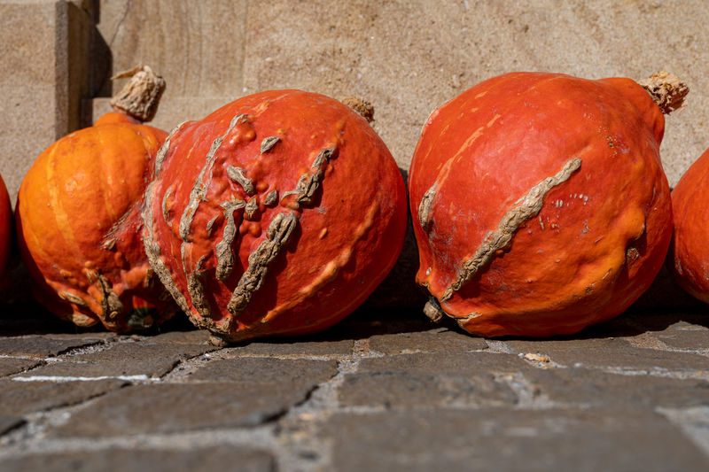 Close-up of pumpkins on wood against wall