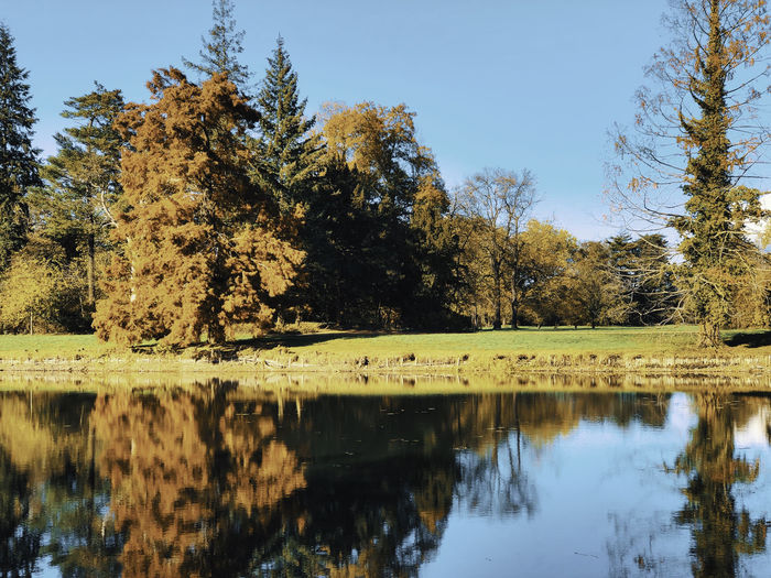 Reflection of trees in lake against sky
