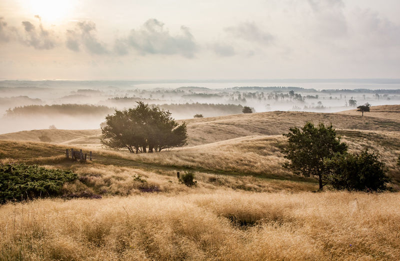 Scenic view of grazing land against cloudy sky