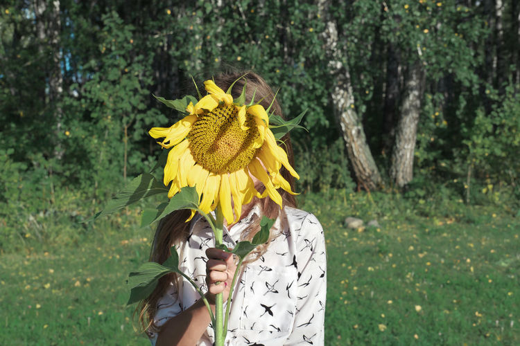 Girl hiding her face behind a sunflower. summer holiday concept. countryside living. suburban life.