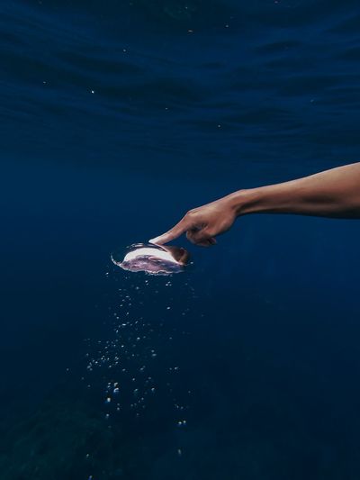Cropped hand touching fish underwater
