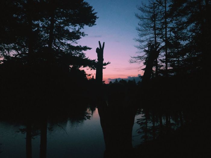 Silhouette trees by lake against sky at sunset