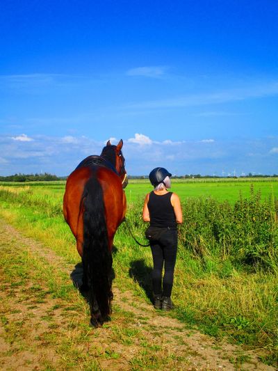 Rear view of woman with horse standing on grassy land
