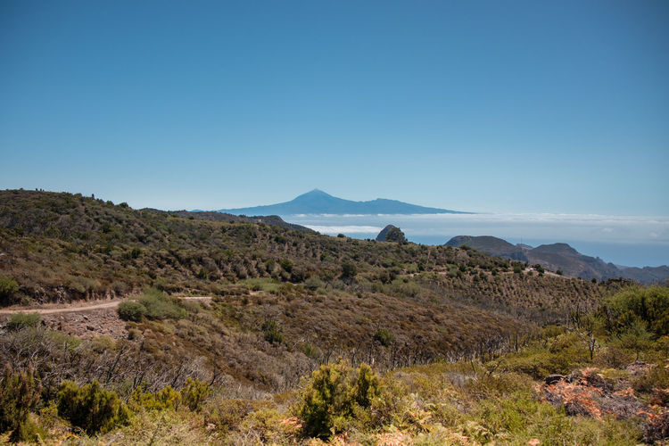 Scenic view of landscape against clear blue sky