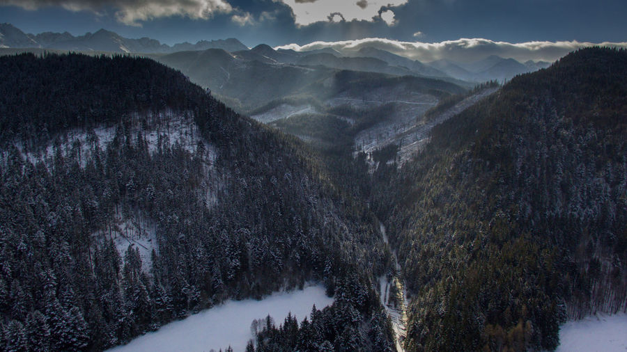 Scenic view of tree mountains against sky during winter