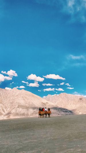 Rear view of tourist riding on camel at nubra valley
