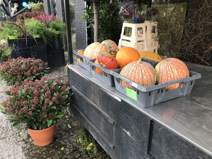 Pumpkins for sale at market stall