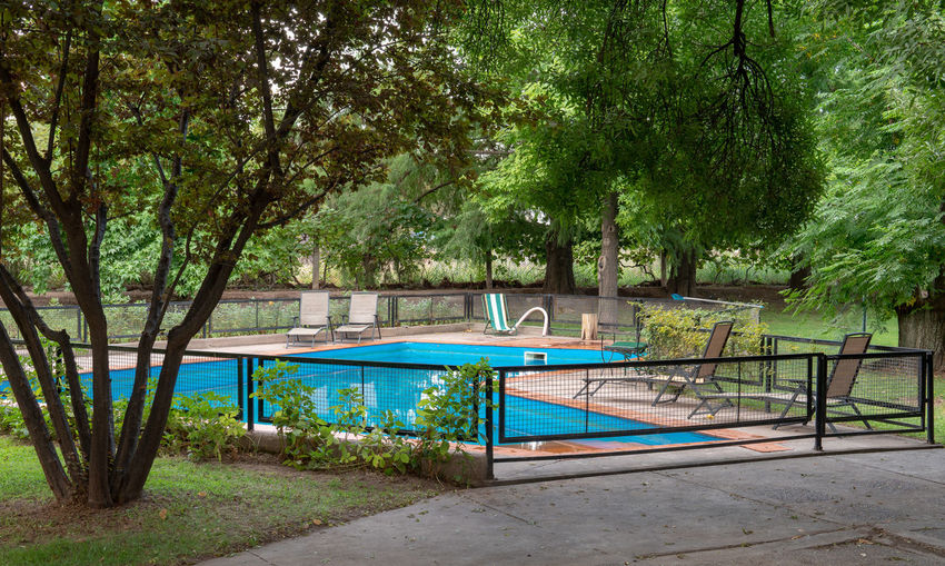 View of swimming pool in park