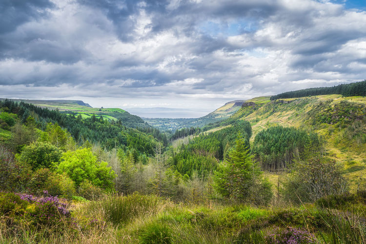 Beautiful green valley with forests and fields, glenariff forest park
