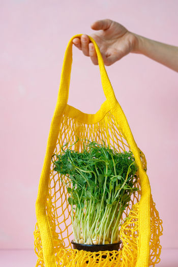 Cropped hand of woman holding vegetable in bag