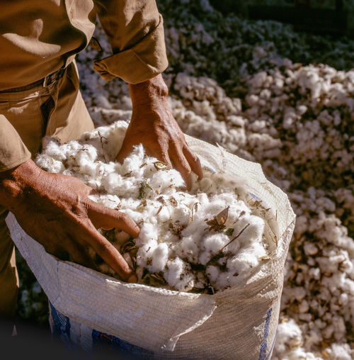 Mid section of man working in cotton industry