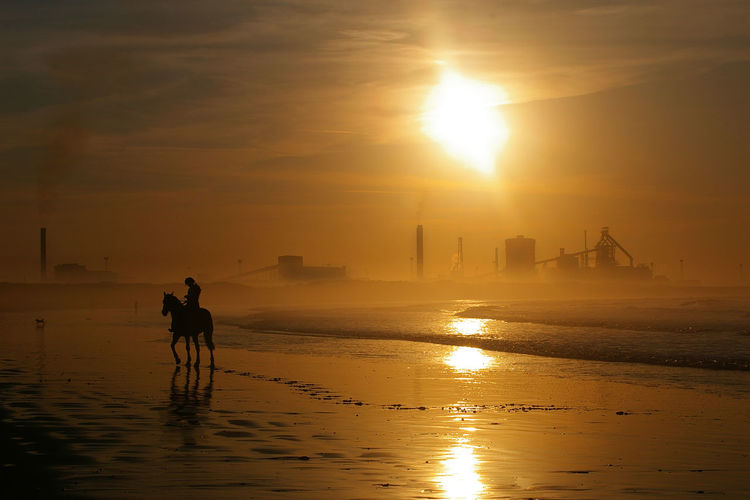 Silhouette man riding horse at beach against sky during sunset