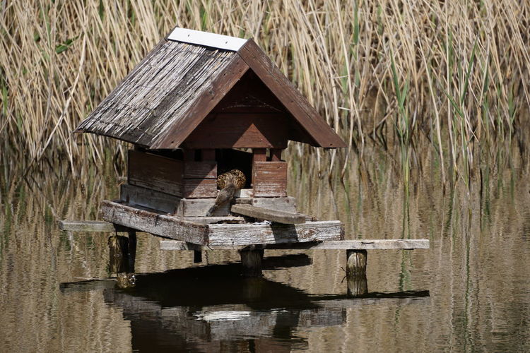 Wooden structure in lake