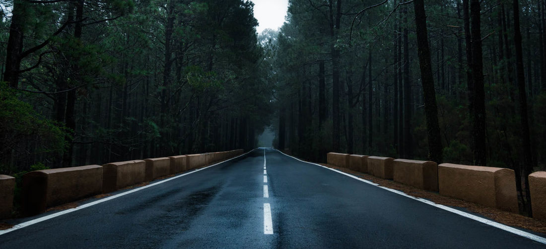 Empty road amidst trees in forest
