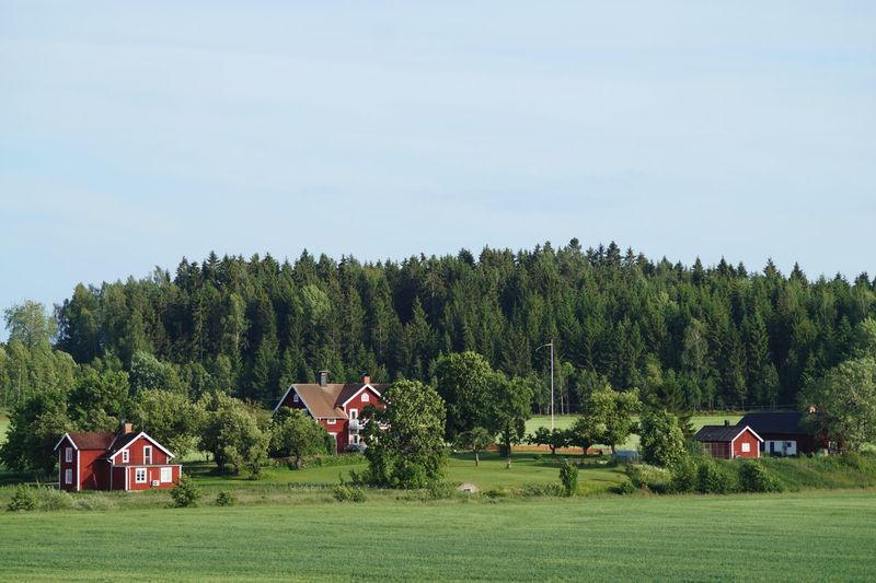Houses on green landscape against sky