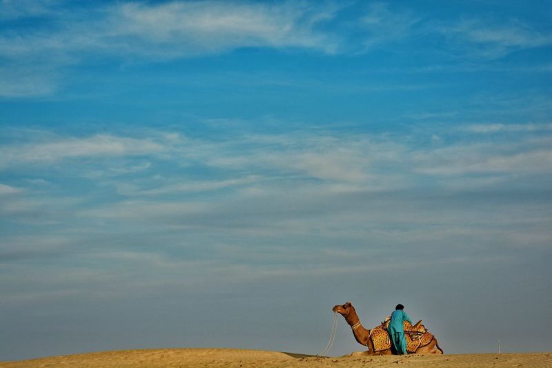 Camel with driver against cloudy sky at desert