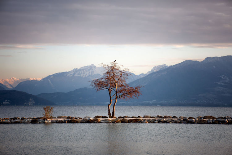 Scenic view of lake by mountains against sky during winter