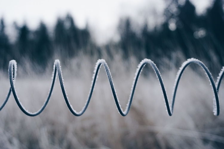 Close-up of frozen curled wire outdoors