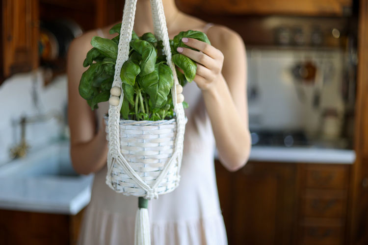 Selective focus on green basil leaves in plant hanger, defocused woman in kitchen background