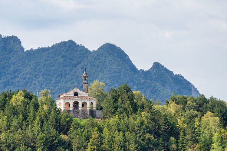View of trees and buildings against sky
