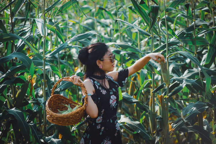 Full length of woman standing by plants in maize field.