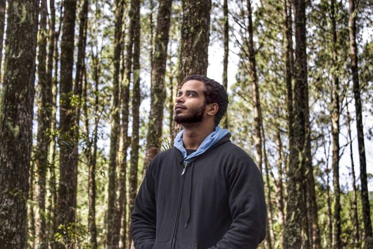 Young man looking away while standing against trees in forest