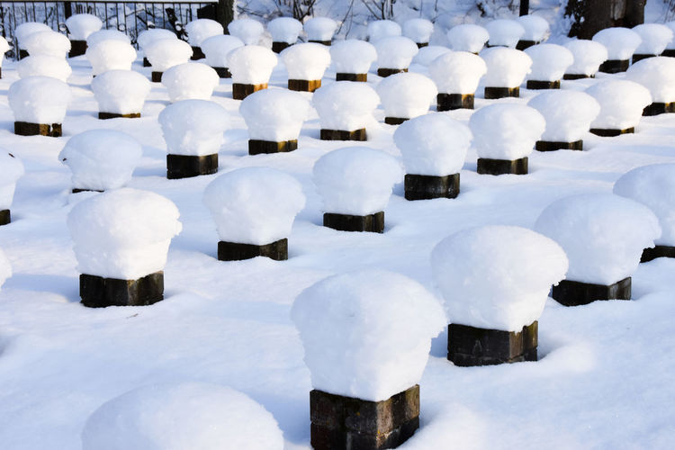 Snow covered field
