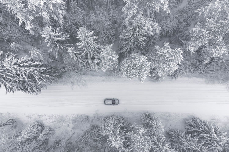 The car is driving on a snowy forest road. the trees are covered with snow. harsh nordic climate.
