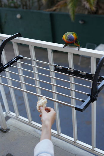 Low angle view of person on railing against water