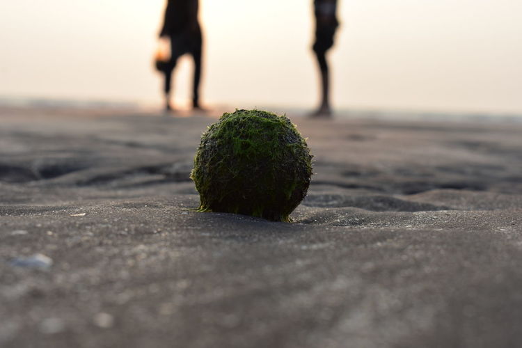Close-up of ball on beach against sky