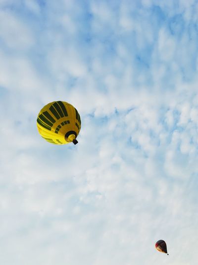 Close-up of yellow flying in sky