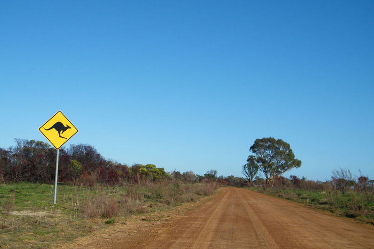 View of empty country road and road sign