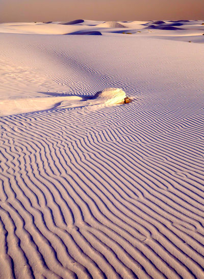 Scenic view of desert at white sands national monument