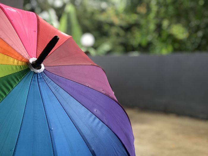 Close-up of umbrella