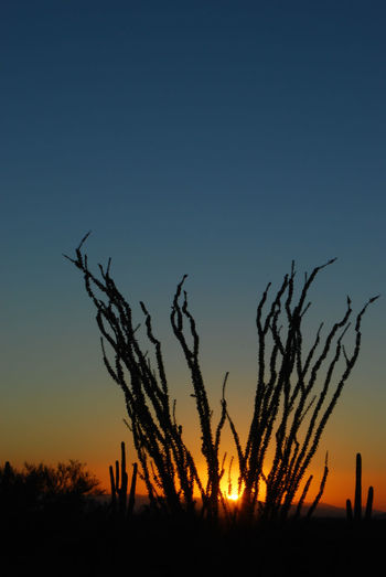 Scenic view of landscape at sunset