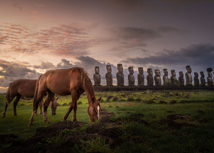 A photo depicting the famous moai and a horse of rapa nui aka easter island