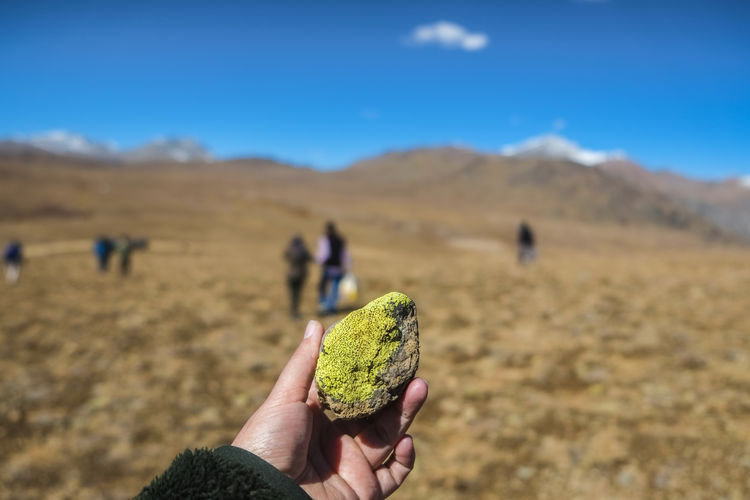Cropped hand of person holding stone with lichen against sky